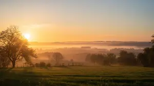 peaceful sunrise for finding family happiness page